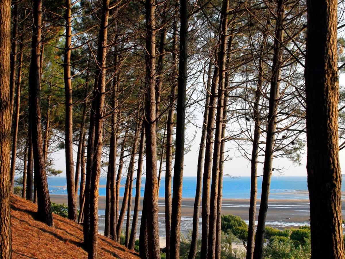 Appartement Arcachon, 2 pièces, 4 personnes - FR-1-420-61 Extérieur photo